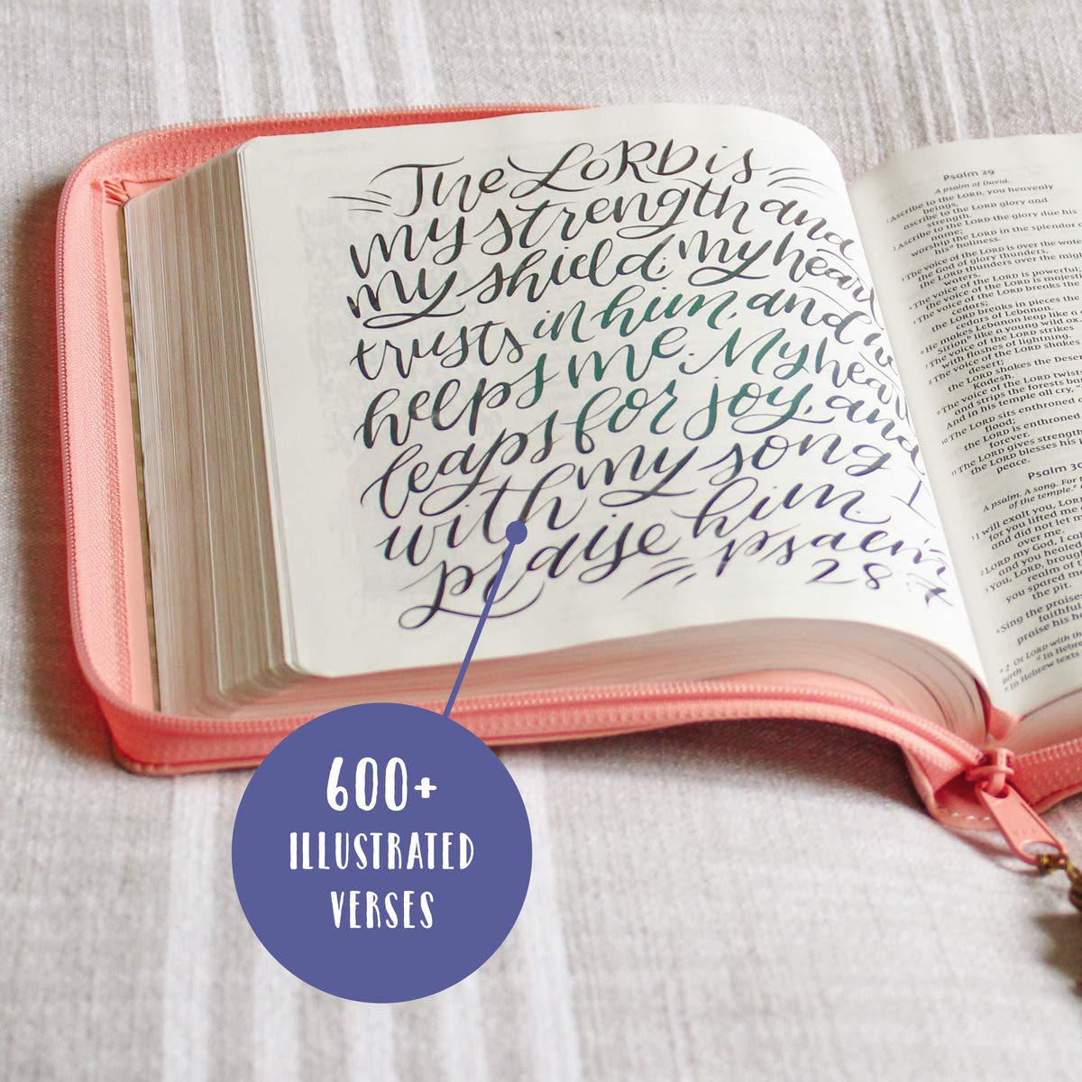 NIV Beautiful Word Bible for Girls, Updated Edition, Leathersoft, Zippered, Pink