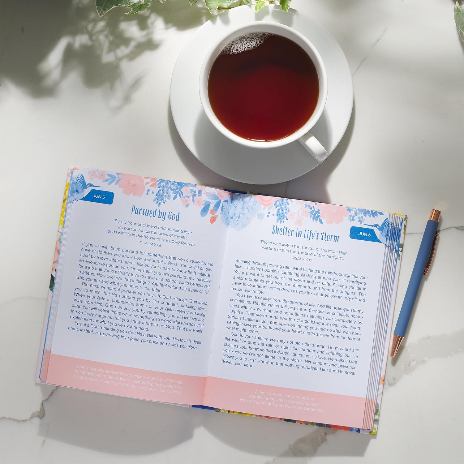 A Gift of Grace and Gratitude: A 366-Day Devotional Rejoicing in God's Blessings and Love