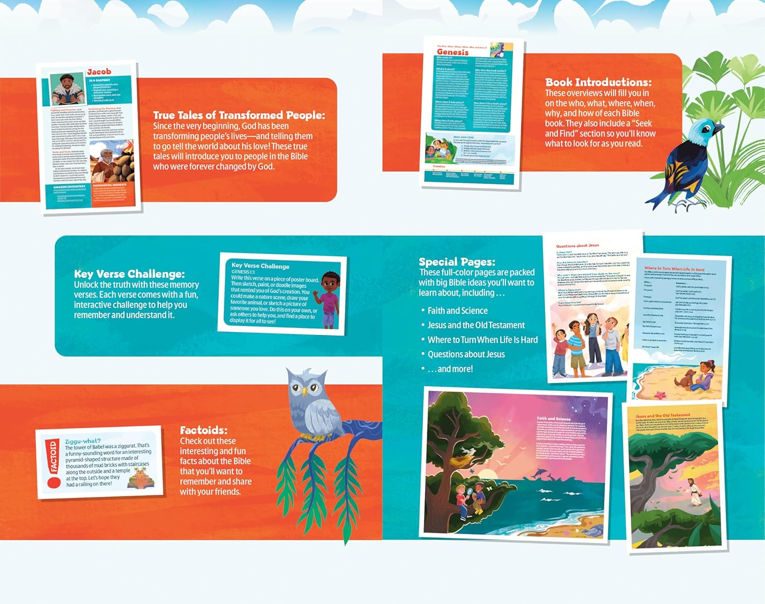 NLT Go Bible: A Life-Changing Bible for Kids, Hardcover