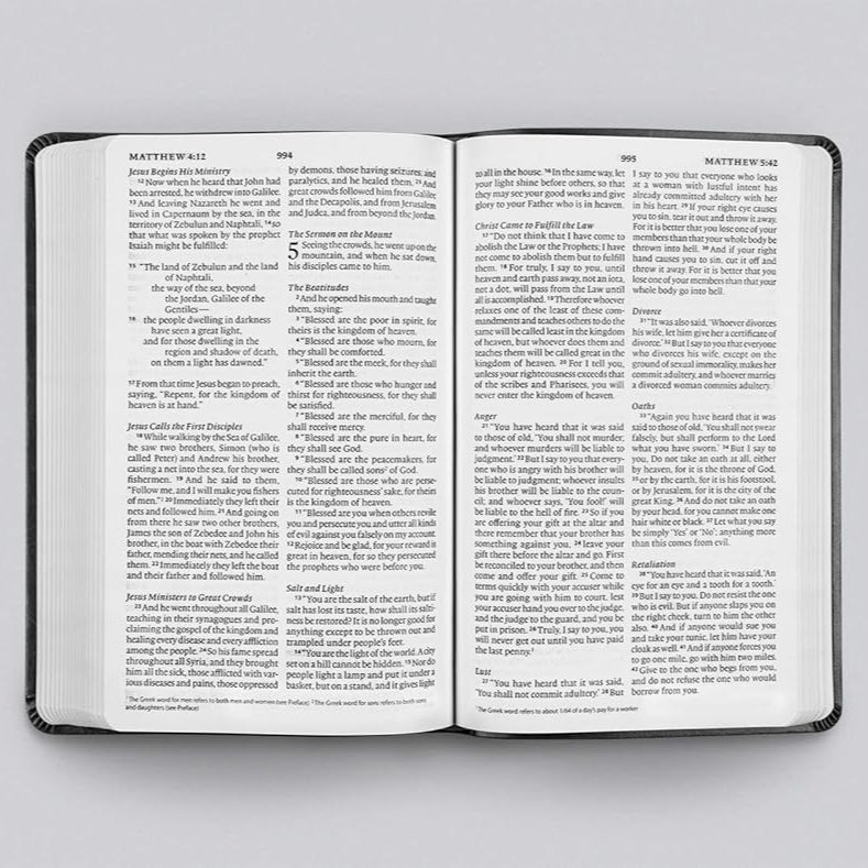 ESV Large Print Value Thinline Bible, TruTone, Black
