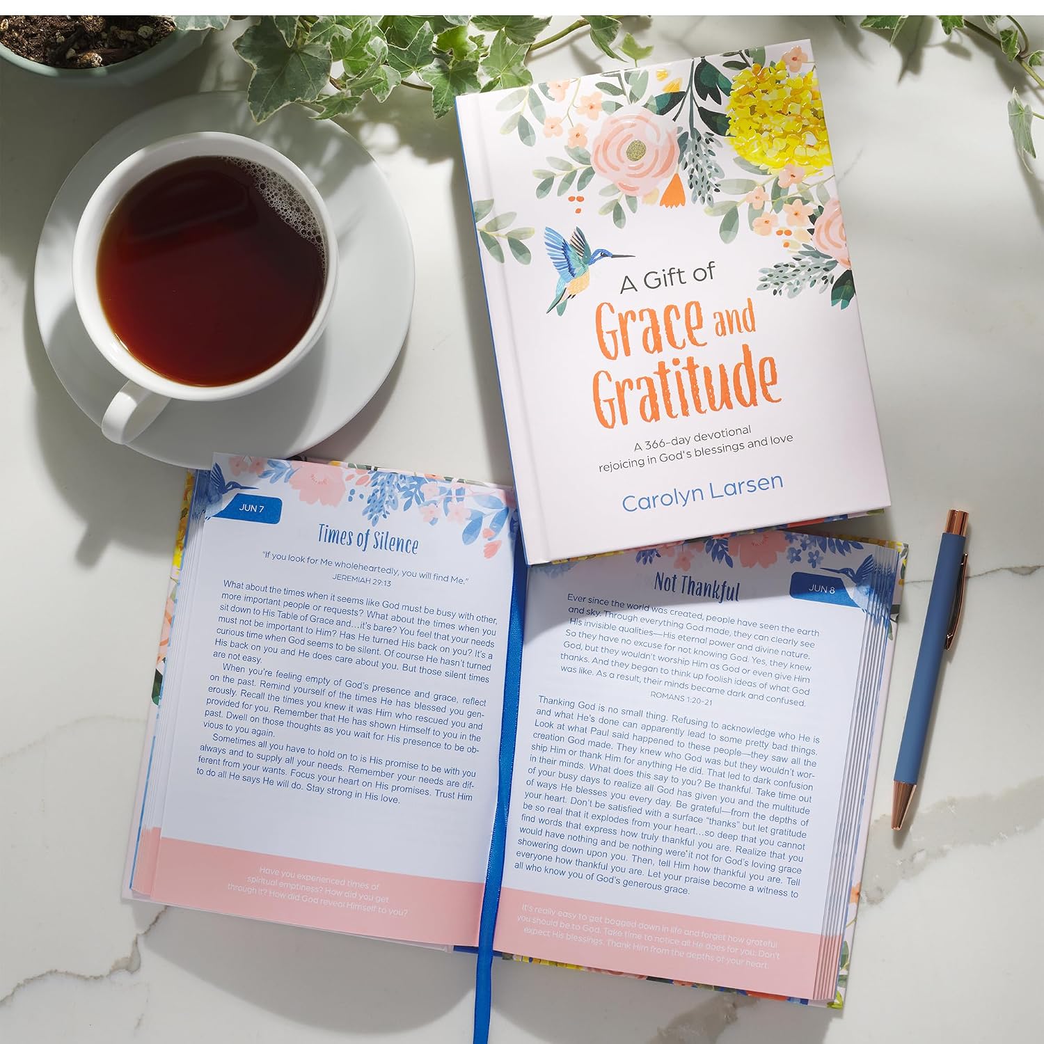 A Gift of Grace and Gratitude: A 366-Day Devotional Rejoicing in God's Blessings and Love