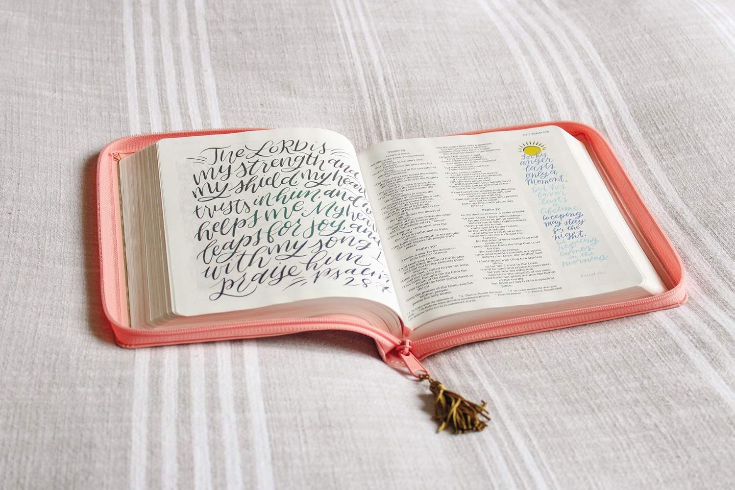 NIV Beautiful Word Bible for Girls, Updated Edition, Leathersoft, Zippered, Pink