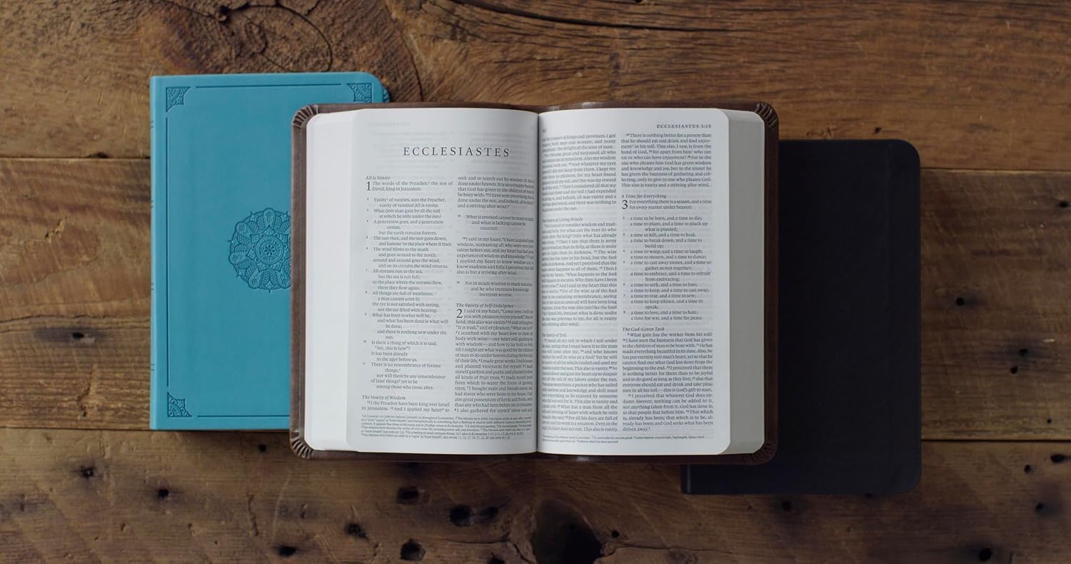 ESV Value Compact Bible, TruTone, Brown
