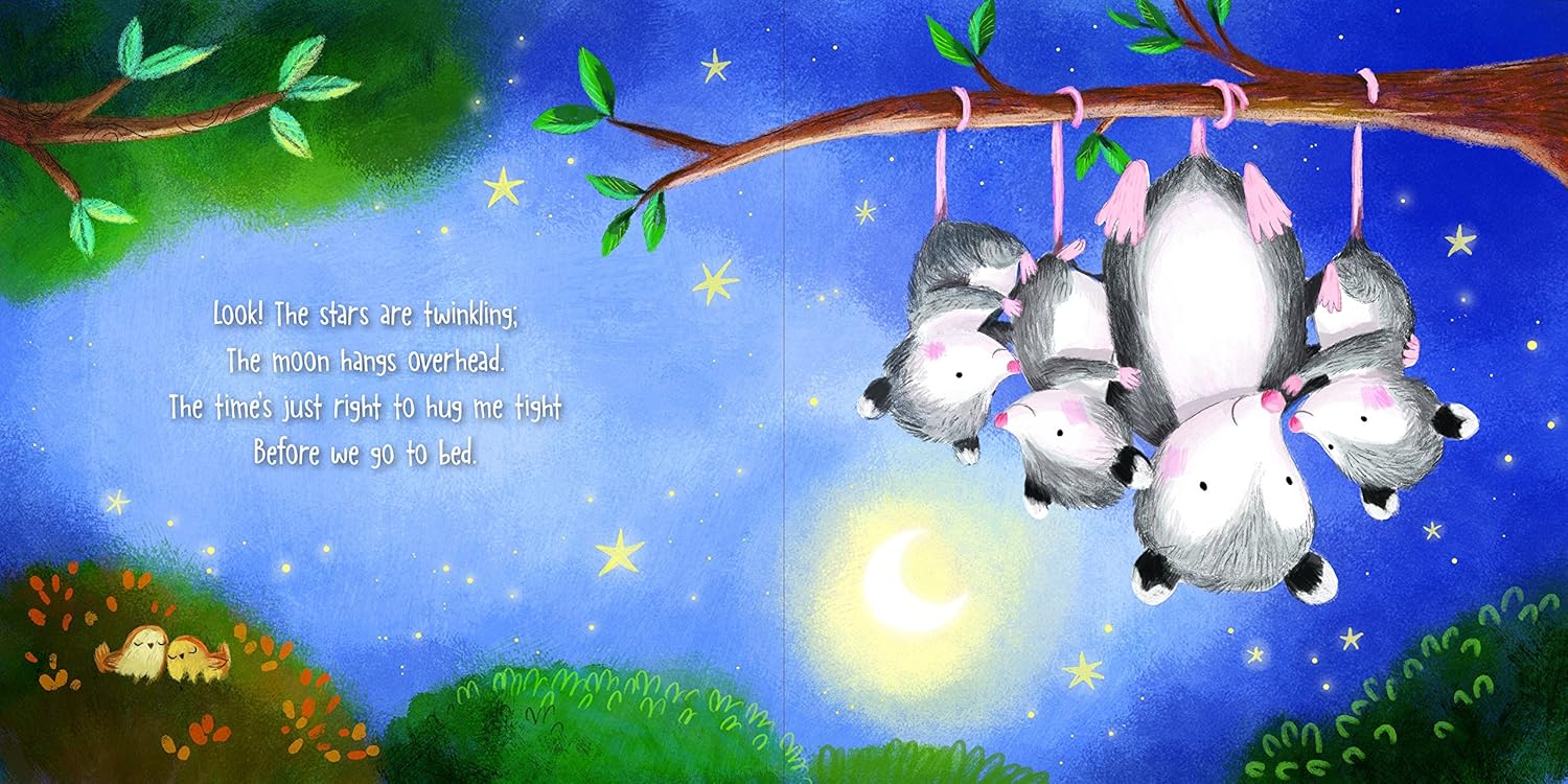 Good Night Hugs, Board book