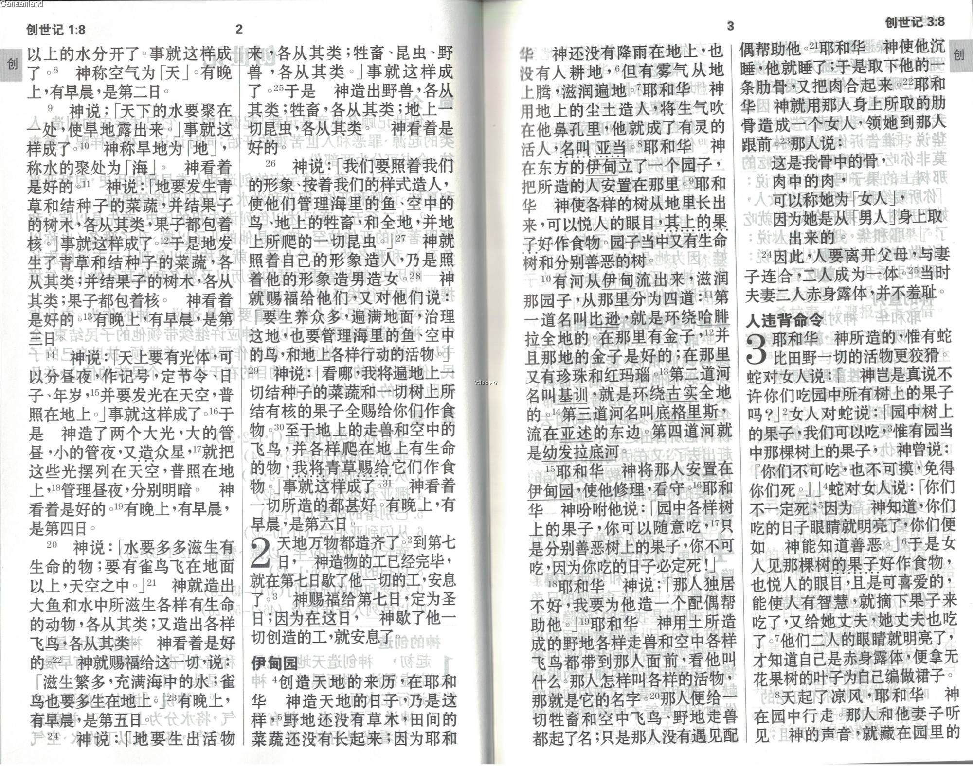 Simplified Chinese Bible CUV Large Print Burgundy 新标点和合本，紫红色, 大字版