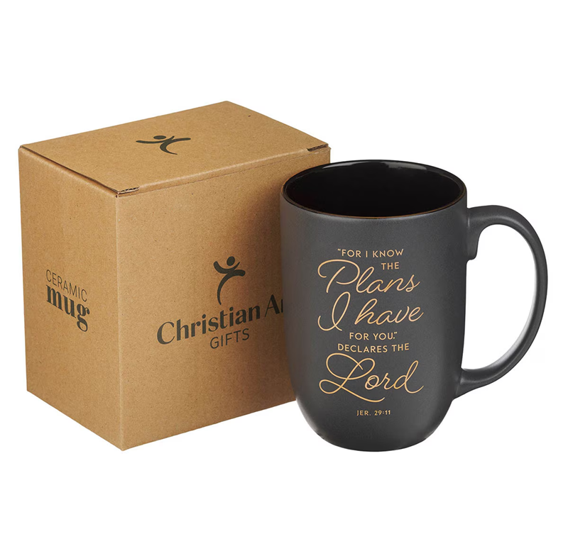 Ceramic Mug, I Know the Plans, Graphite Gray