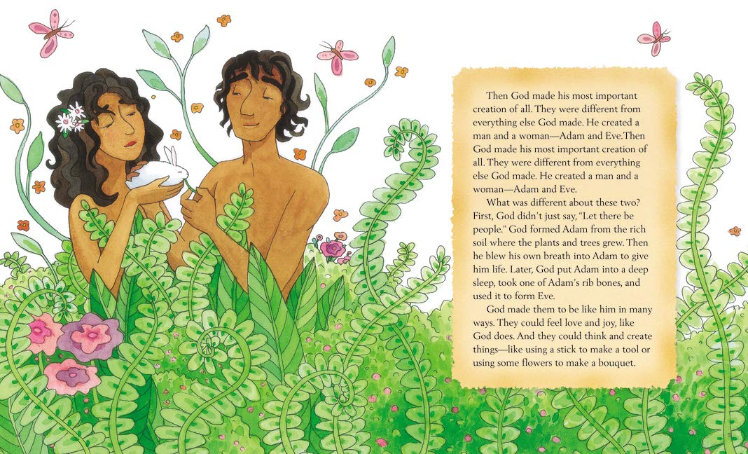 Bible Gems to Remember Illustrated Bible (Hardcover)