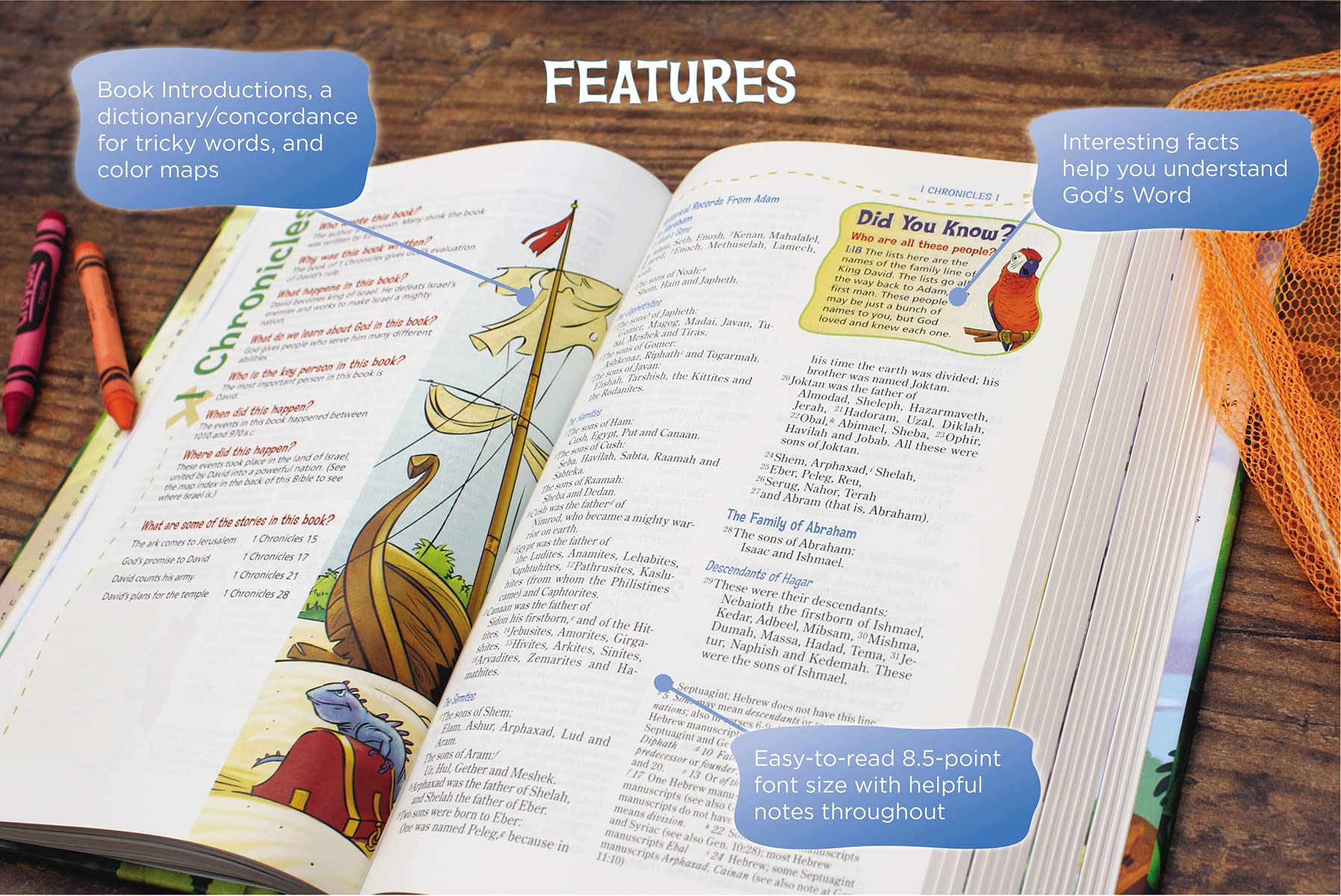 ROCKOnline | NIV Adventure Bible Hardcover, Magnetic Closure | New Creation Church | Joseph Prince | Christian Living | Bibles | Tweens | Youth | Free delivery for Singapore Orders above $50.