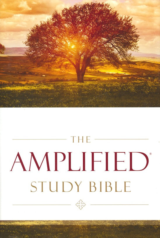 ROCKONLINE | New Creation Church | NCC | Joseph Prince | ROCK Bookshop | ROCK Bookstore | Star Vista | AMP | Amplified Study Bible | Bonded Leather Brown | Study Bible | Free delivery for Singapore Orders above $50.
