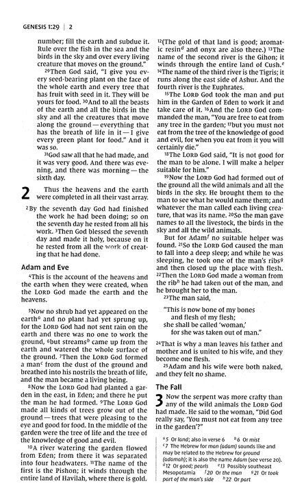ROCKOnline | New Creation Church | Joseph Prince | Christian Living | Bibles | NIV Heart of Gold Comfort Print Holy Bible | Devotional Bible | Children Bible | Girls | Hardcover | Free delivery for Singapore Orders above $50.